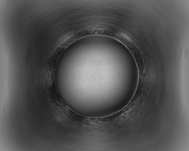 X0000086990774200704161505