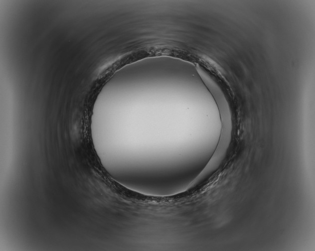 X0000086990775200704161505