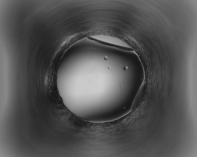 X0000086990776200704161505
