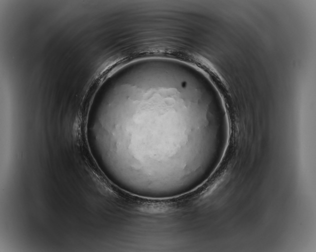 X0000086990778200704161505