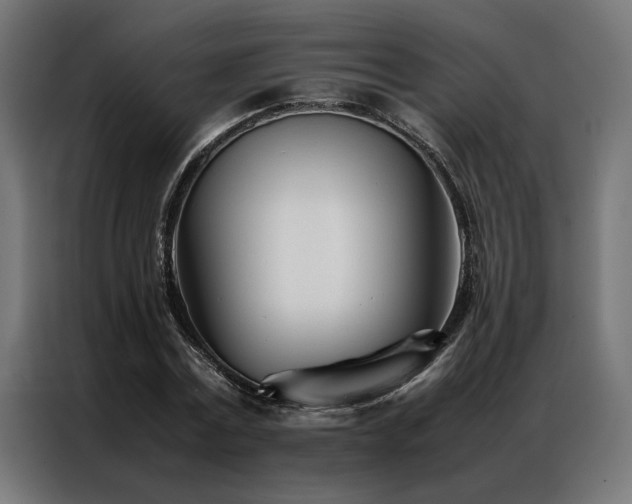 X0000086990779200704161505