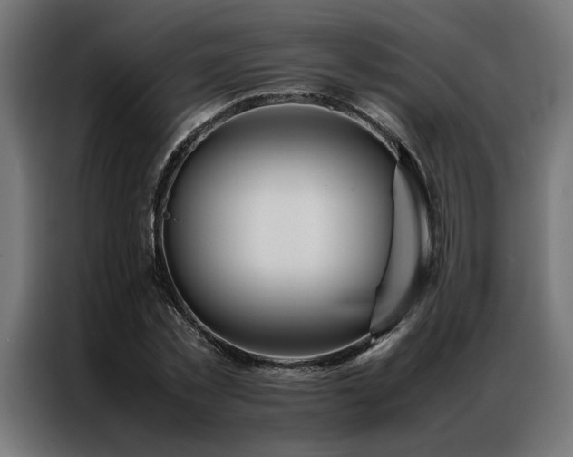 X0000086990781200704161505