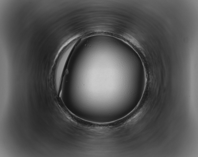 X0000086990782200704161505