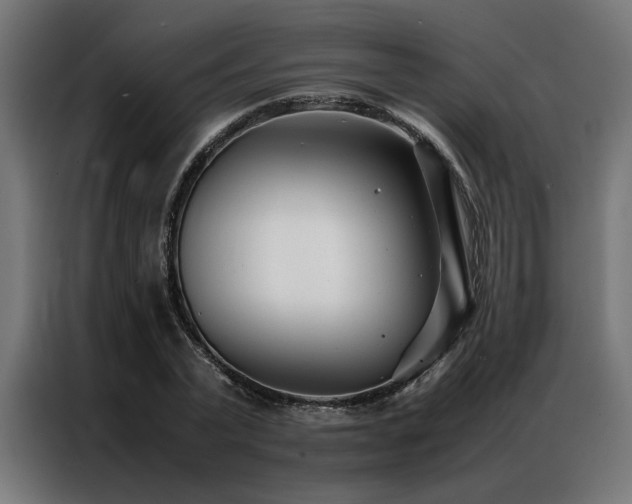 X0000086990783200704161505