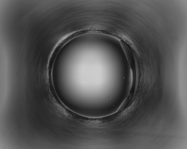 X0000086990784200704161505