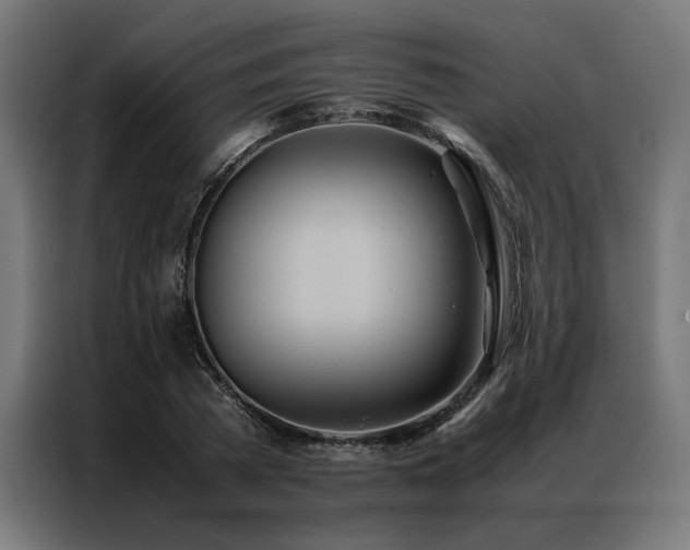 X0000086990785200704161505