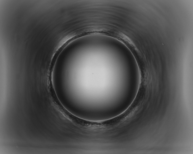 X0000086990786200704161505