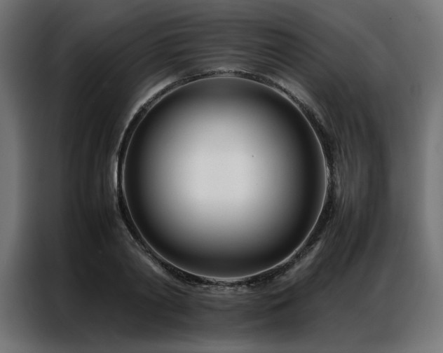 X0000086990790200704161505