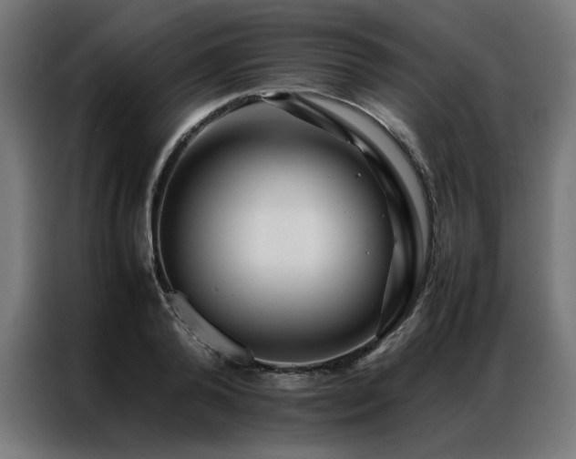 X0000086990792200704161505