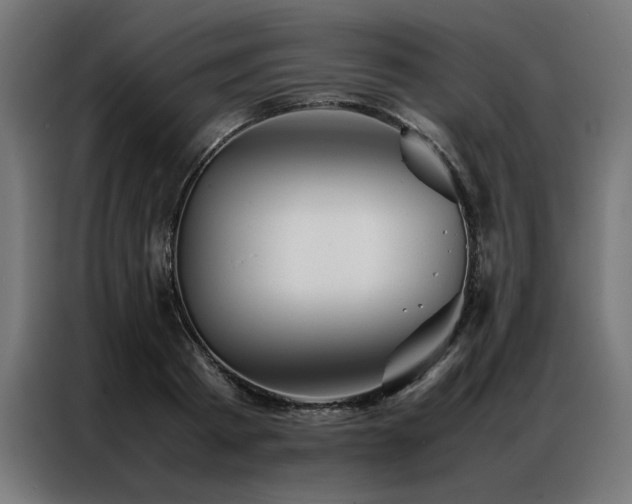 X0000086990793200704161505