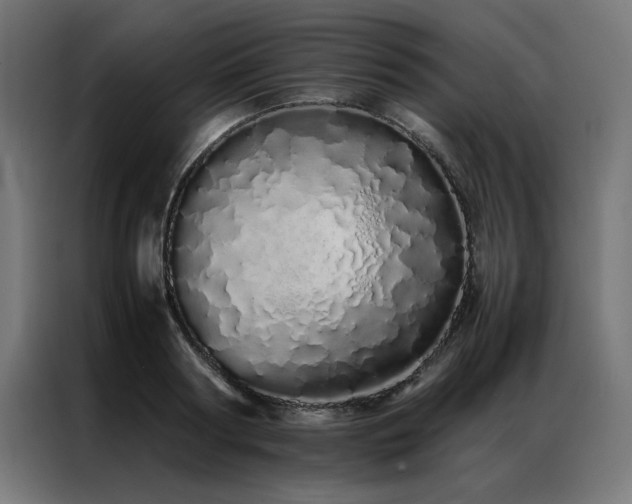 X0000086990794200704161505