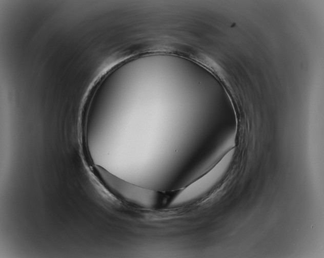 X0000086990795200704161505