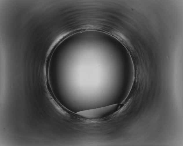 X0000086990796200704161505