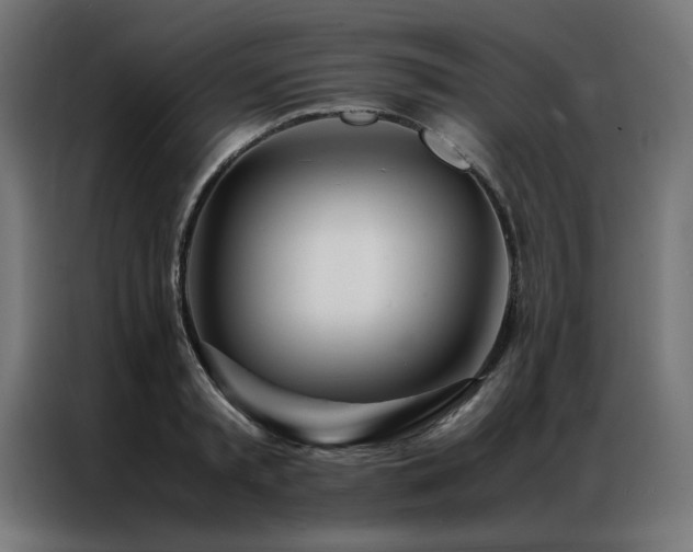 X0000086990797200704161505
