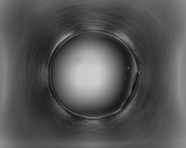 X0000086990798200704161505