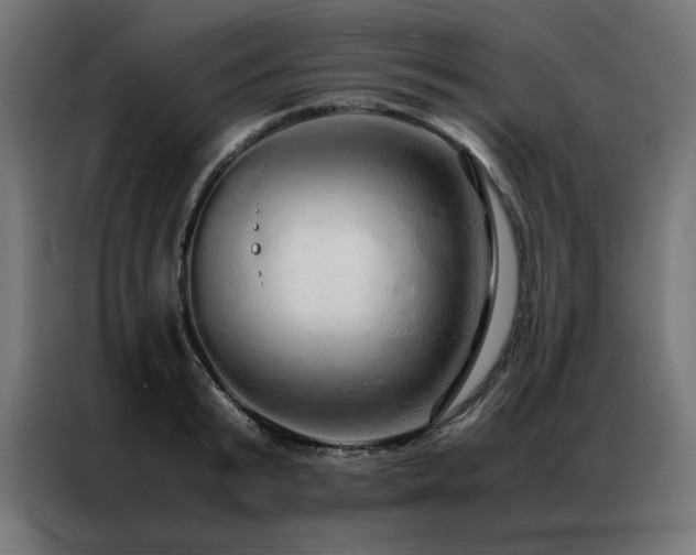 X0000086990799200704161505