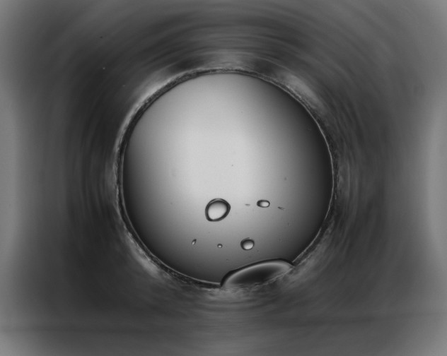 X0000086990800200704161505