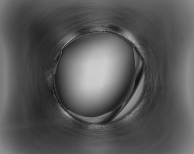 X0000086990801200704161505