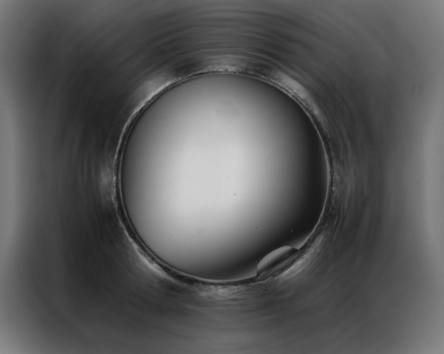 X0000086990802200704161505