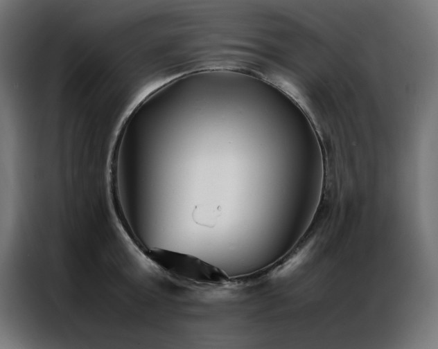X0000086990803200704161505