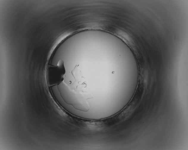 X0000086990804200704161505