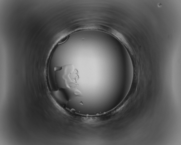 X0000086990805200704161505