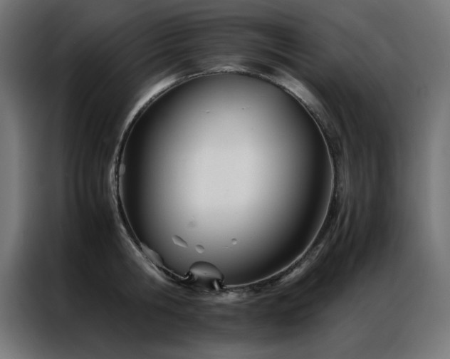 X0000086990806200704161505