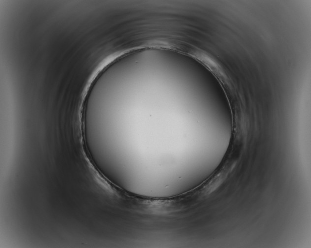 X0000086990808200704161505