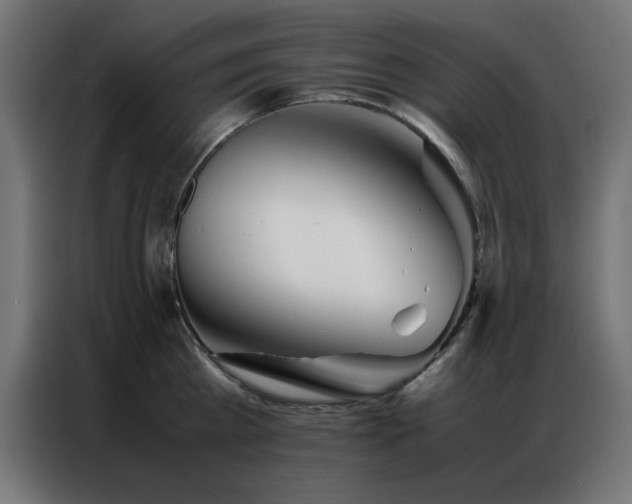 X0000086990809200704161505