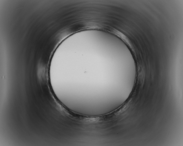 X0000086990810200704161505