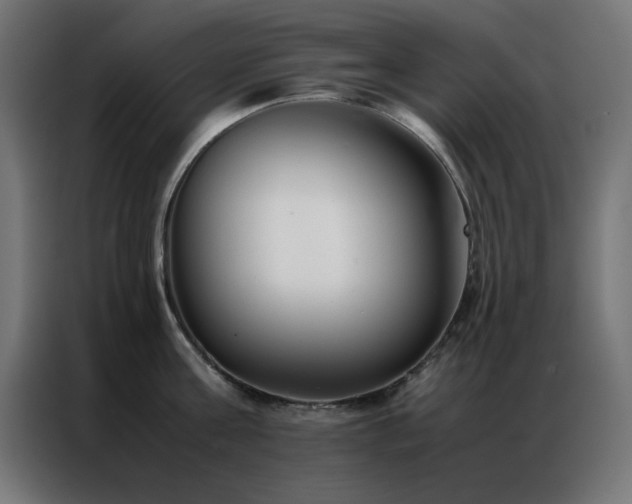 X0000086990811200704161505