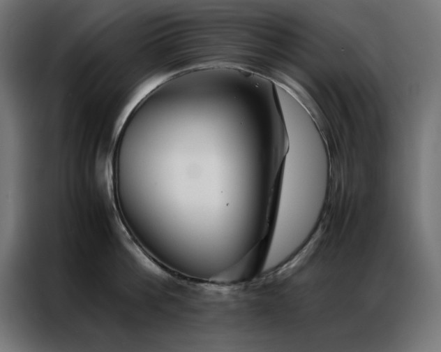 X0000086990812200704161505
