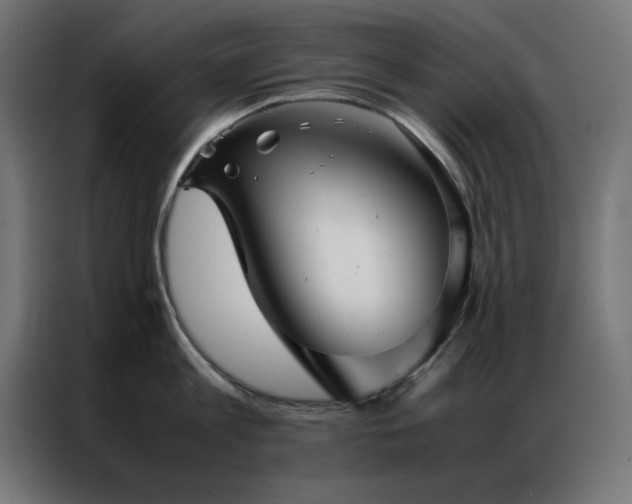 X0000086990813200704161505
