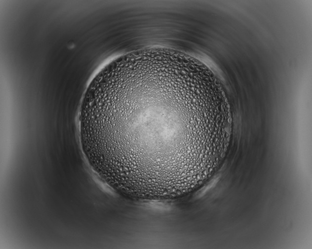 X0000086990814200704161505