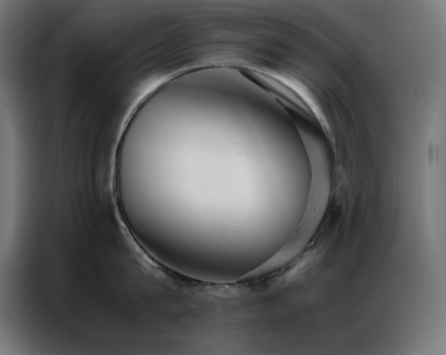 X0000086990815200704161505