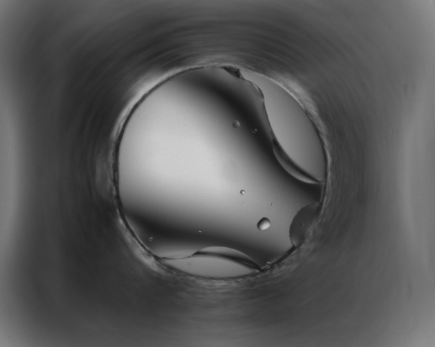 X0000086990816200704161505