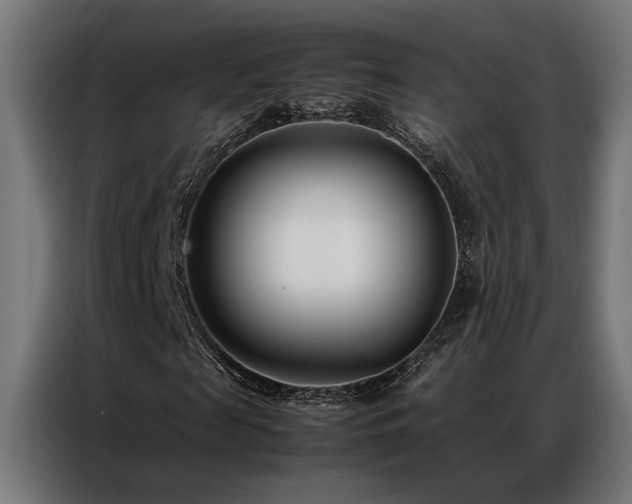 X0000086990817200704161504