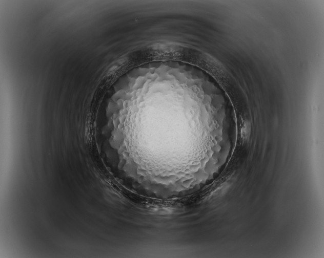 X0000086990819200704161504