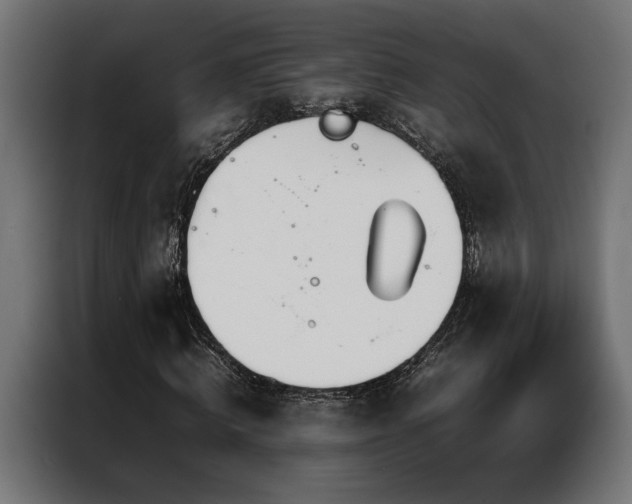 X0000086990820200704161504