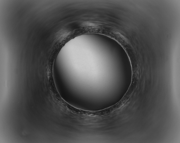 X0000086990821200704161504