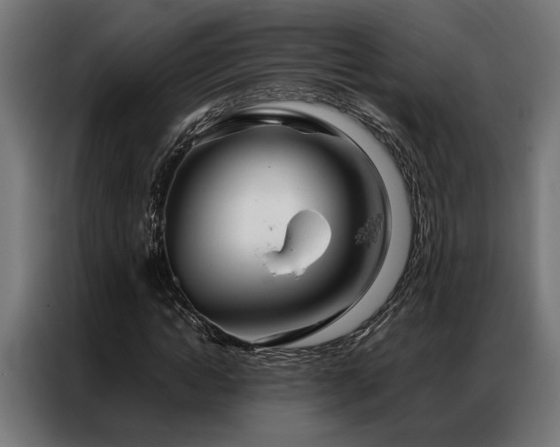 X0000086990822200704161504