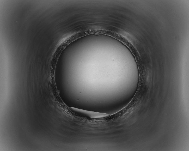 X0000086990823200704161504