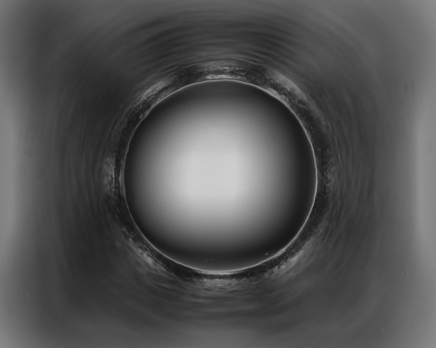 X0000086990825200704161504