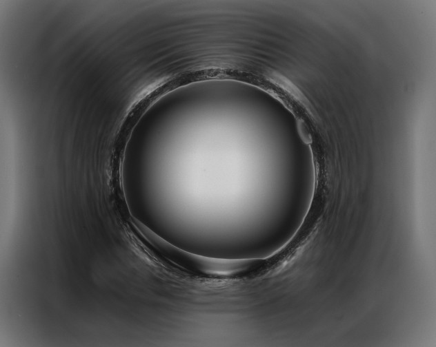 X0000086990826200704161504