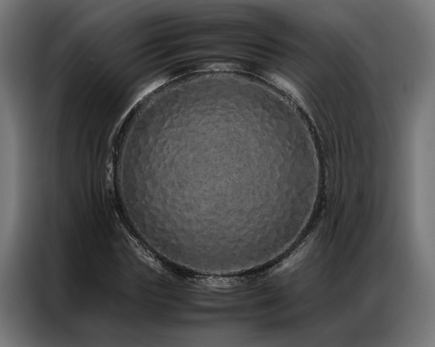 X0000086990827200704161504
