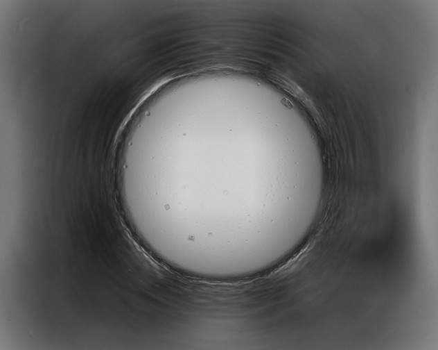 X0000086990828200704161504