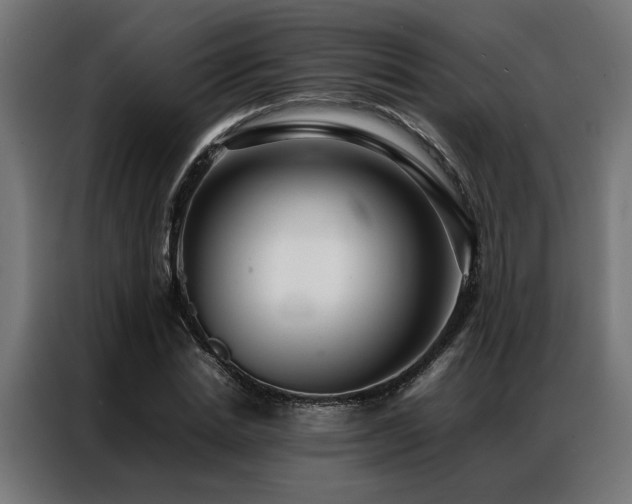 X0000086990830200704161504