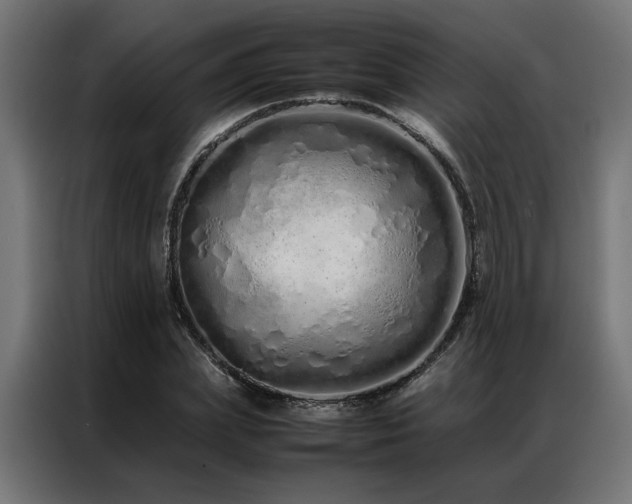X0000086990831200704161504