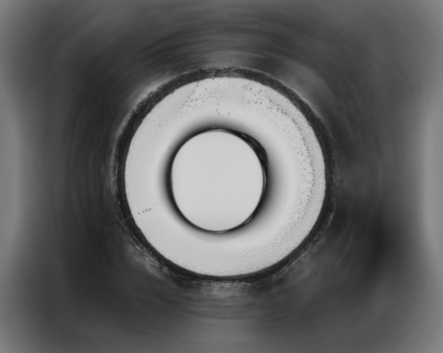 X0000086990832200704161504