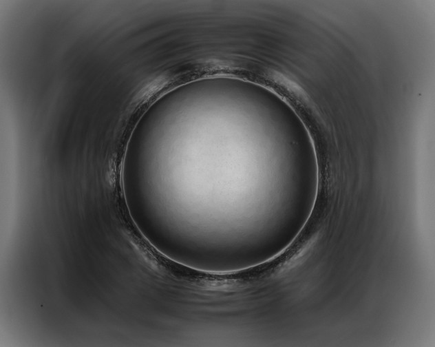 X0000086990833200704161504